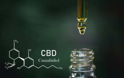 Should You Use CBD If You’re in Recovery